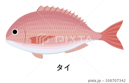 タイのイラスト タイのイラスト 108707342