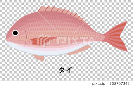 タイのイラスト タイのイラスト 108707342