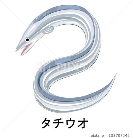 タチウオのイラスト 108707343