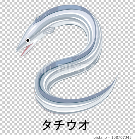 タチウオのイラスト 108707343