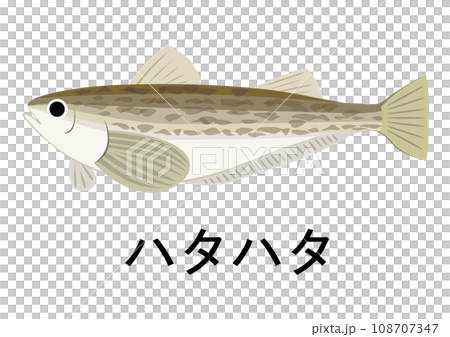 Hatahata illustration 108707347