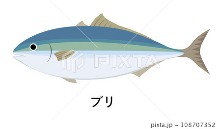 ブリのイラスト 108707352