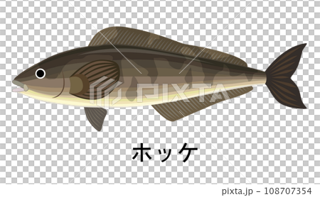 Illustration of hockey 108707354