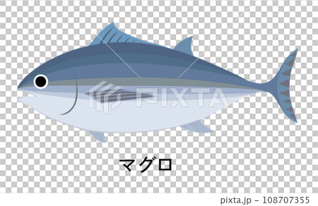 マグロのイラスト 108707355