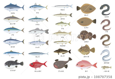 代表的な魚のまとめイラスト 108707358