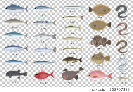 典型魚類概要圖 108707358