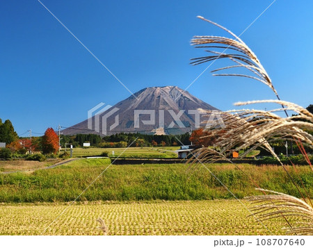 大山西方から見る秋の大山 108707640