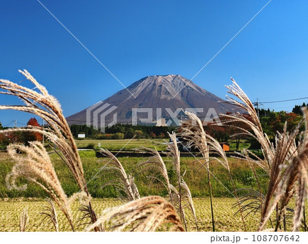 大山西方から見る秋の大山 108707642