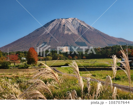 大山西方から見る秋の大山 大山西方から見る秋の大山 108707644