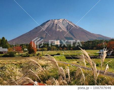 大山西方から見る秋の大山 108707646