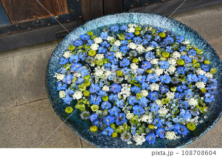 行田の花手水 108708604