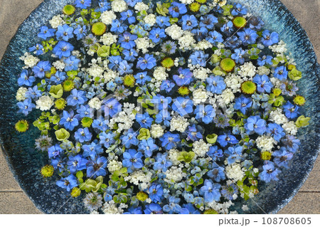 行田の花手水 108708605