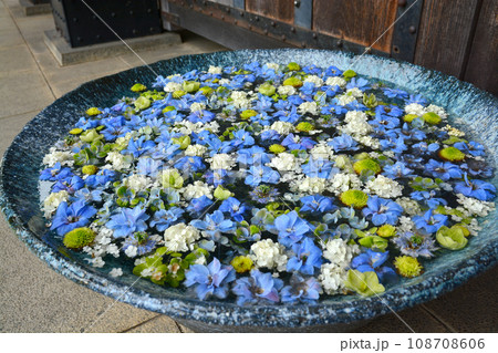 行田の花手水 108708606