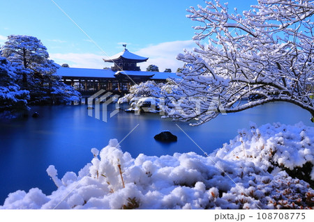 平安神宮(京都市左京区)栖鳳池の霧氷 平安神宮(京都市左京区)栖鳳池の霧氷 108708775
