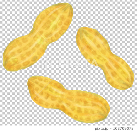 peanuts beans 108709078