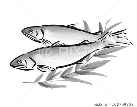 鮎の手描きイラスト 鮎の手描きイラスト 108709255