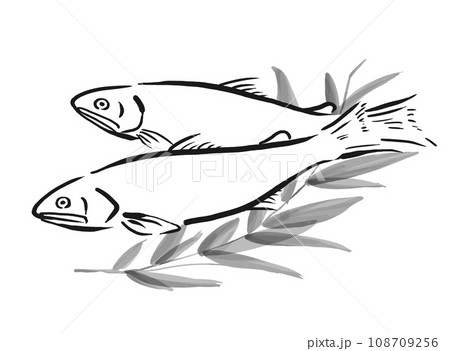 鮎の手描きイラスト 鮎の手描きイラスト 108709256