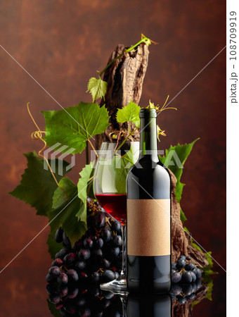 Glass and bottle of red wine with blue grapes and vine branches. 108709919