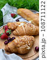 Picnic in the field with berries, juice, cheese, sausage and sweet croissants 108711122