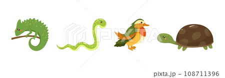 Funny African Animals and Zoo Fauna Vector Set Funny African Animals and Zoo Fauna Vector Set 108711396