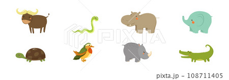 Funny African Animals and Zoo Fauna Vector Set Funny African Animals and Zoo Fauna Vector Set 108711405