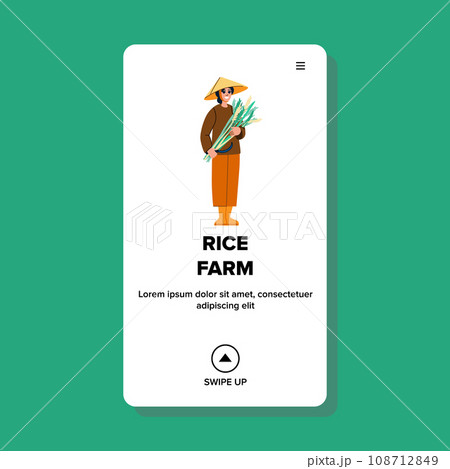 rice farm vector rice farm vector 108712849
