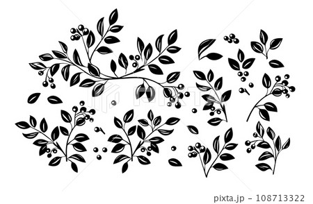 Branch, leaves black silhouettes set. Isolated on white background hand drawn. Not AI . Vector illustration 108713322