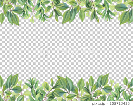 Abstract green leaves. Horizontal frame with branches, green plants. Tea leaves. Herbal rectangle composition. Illustration for Valentines day, birthday, mothers day, greeting, wedding Invitation. Abstract green leaves. Horizontal frame with branches, green plants. Tea leaves. Herbal rectangle composition. Illustration for Valentines day, birthday, mothers day, greeting, wedding Invitation. 108713436