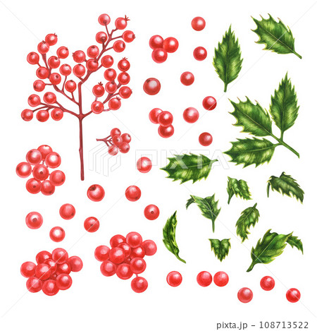 Christmas watercolor holly branches, leaves and berries for New Year illustration, invitations, post cards. banners and frames 108713522