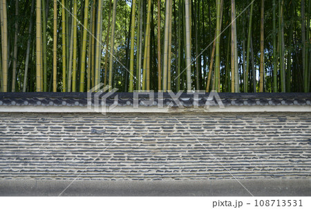 大徳寺　龍翔寺の土塀　京都市北区紫野 108713531