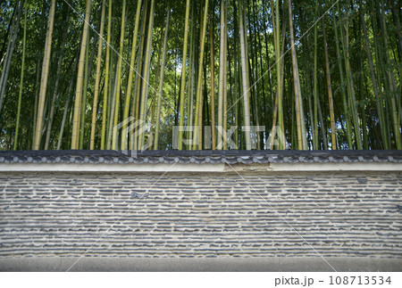 大徳寺　龍翔寺の土塀と竹林　京都市北区紫野 108713534