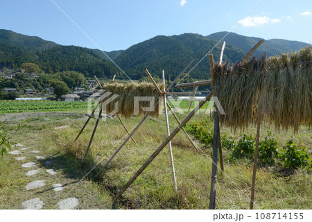 京都大原　田園風景　京都市左京区 108714155