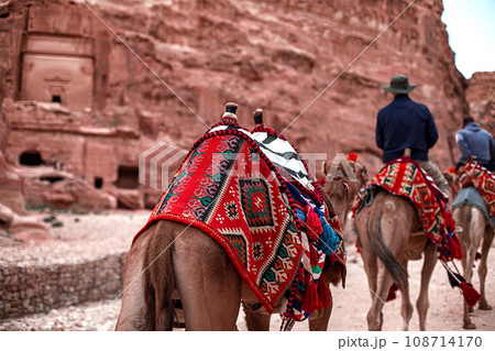 Tourists riding camels ride along the Siq Canyon and explore the attractions of the city of Petra, Jordan 108714170