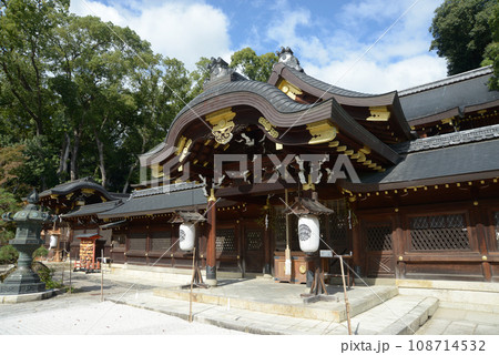 今宮神社 本殿 京都市北区紫野 今宮神社 本殿 京都市北区紫野 108714532