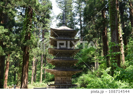 羽黒山参道の杉林 山形県鶴岡市 羽黒山参道の杉林 山形県鶴岡市 108714544