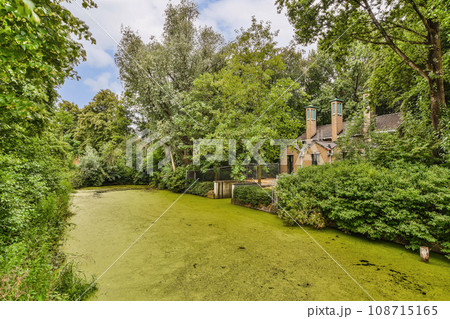 an outdoor area with green algae and trees in the fore - image is taken from google's street view an outdoor area with green algae and trees in the fore - image is taken from google's street view 108715165