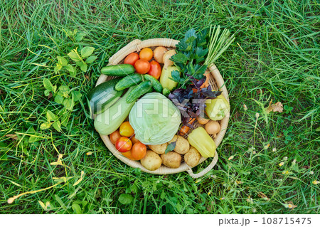 Close up top view of basket with different summer vegetables Close up top view of basket with different summer vegetables 108715475