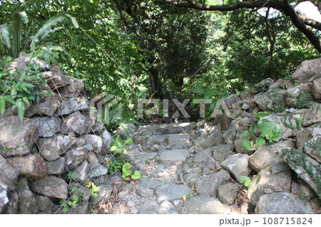 今帰仁城跡の旧道風景_沖縄 108715824