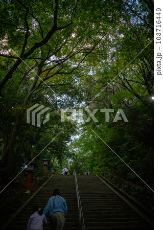 森の静けさ 108716449