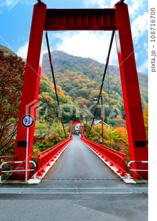 秋の内楽橋(縦) 秋の内楽橋(縦) 108716700
