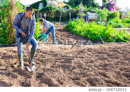 Man gardener digging soil in vegetable garden Man gardener digging soil in vegetable garden 108718032