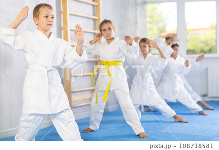 Young karate students gather in dojo 108718581