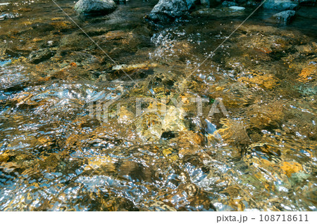 play in the river play in the river 108718611