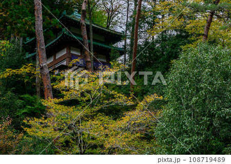 東京アドベンチャーライン 御嶽渓谷 寒山寺 東京都青梅市 東京アドベンチャーライン 御嶽渓谷 寒山寺 東京都青梅市 108719489