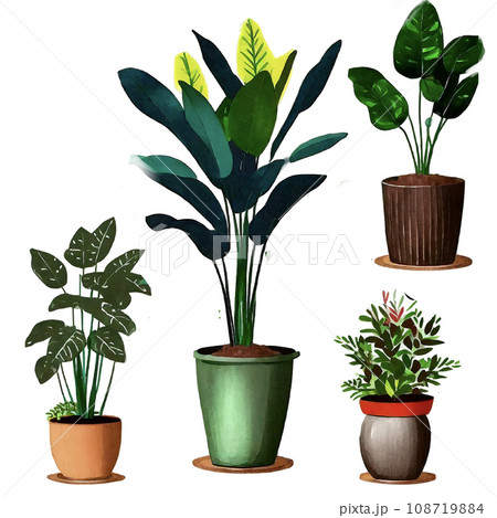 植木鉢に植えられた観葉植物 イラストのイラスト素材 [108719884