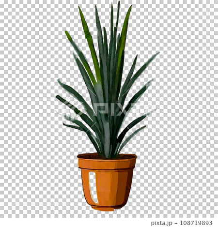 Cycad in a flowerpot ornamental plant illustration 108719893