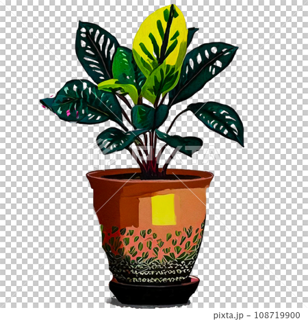 盆中多肉植物的插圖 108719900