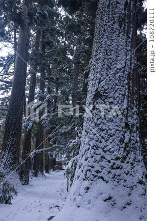 【新潟県･佐渡･清水寺】雪の参道 冬編 108720111