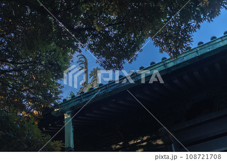 湯島聖堂　イメージ　大成殿　東京都文京区 108721708