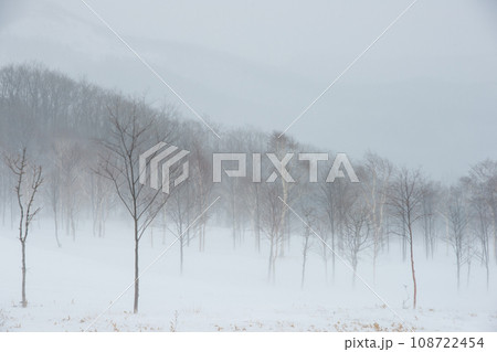 山裾の吹雪 山裾の吹雪 108722454